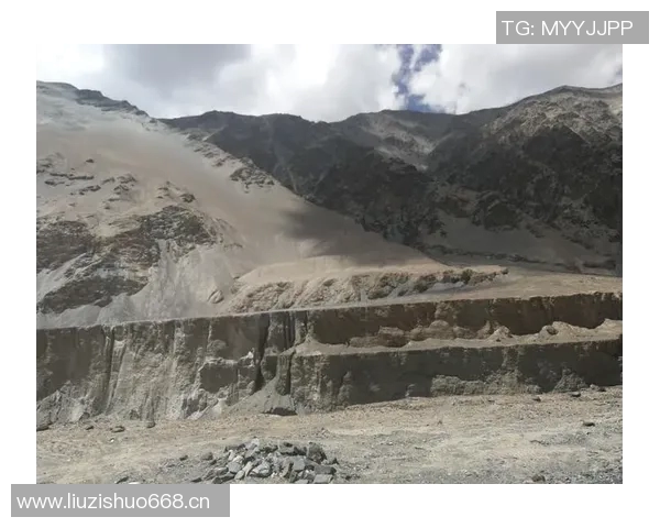 深度对话：探索黄丽在和平精英中的成长与挑战之路